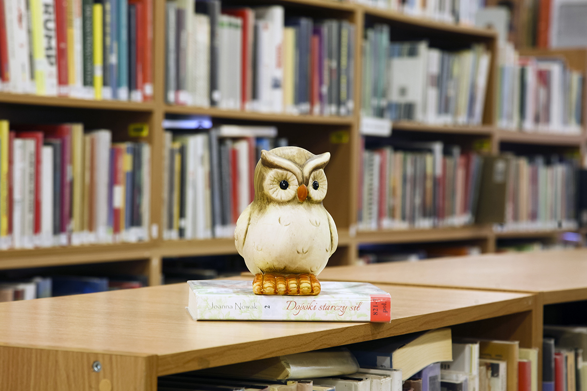 Wypożyczalnia Nr 34