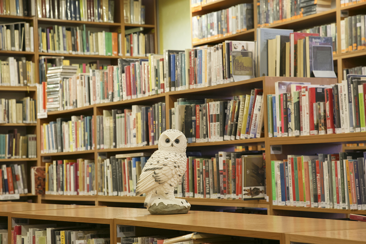 Wypożyczalnia Nr 34